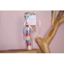 GENDER REVEAL WAX MELTS